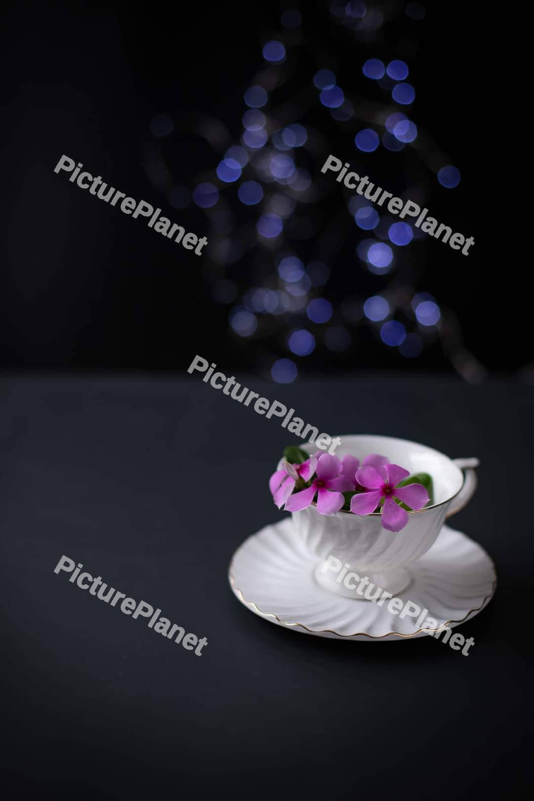 Pink flowers inside a tea cup